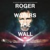 Мұқаба Roger Waters - Comfortably Numb Roger Waters - Comfortably Numb