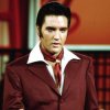 Мұқаба Elvis Presley - Can't Help Falling in Love Elvis Presley - Can't Help Falling in Love
