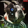 Мұқаба Machine Girl - Fortress Destroyer Machine Girl - Fortress Destroyer