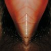 Мұқаба Venetian Snares - Duffy Venetian Snares - Duffy
