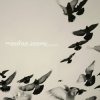 Мұқаба Venetian Snares - Swindon Venetian Snares - Swindon