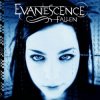 Мұқаба Evanescence - Haunted Evanescence - Haunted