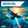 封面 Alex M.O.R.P.H. & Cari - Free as a Bird Alex M.O.R.P.H. & Cari - Free as a Bird