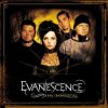 Мұқаба Evanescence - My Immortal (Album Version) Evanescence - My Immortal (Album Version)