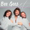 Pochette Bee Gees - Wildflower Bee Gees - Wildflower