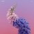 Мұқаба Flume Feat. Kai - Never Be Like You