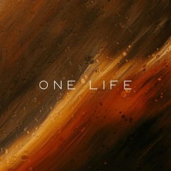 Мұқаба Vibessmusic - One Life (slowed by kirman)