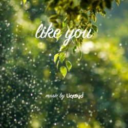 Мұқаба LiQWYD - Like You