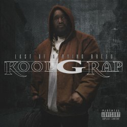 Мұқаба Kool G Rap - Donald Goines