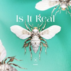 Мұқаба Kabo - Is It Real (Extended Mix)