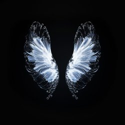 Мұқаба Whales - Believe