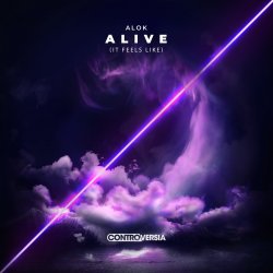 Мұқаба Alok - House Hop