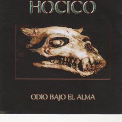 Мұқаба Hocico - Silent Crow