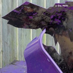 Мұқаба U-Ziq - Mushroom Compost