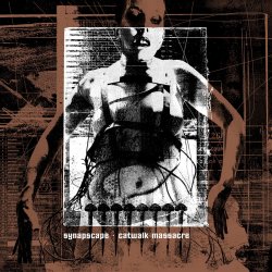 Мұқаба Synapscape - Surface