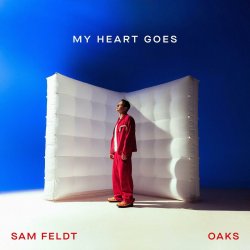 Мұқаба Sam Feldt - Been A While