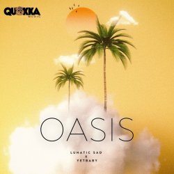 Мұқаба Oasis - Gas panic