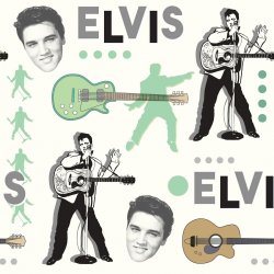Мұқаба Elvis Presley - Such a Night