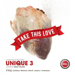 Мұқаба Unique 3 - Tears In Their Tracks