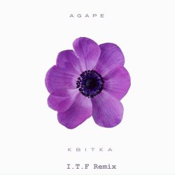 Мұқаба Agape - Квітка (I.T.F Remix)