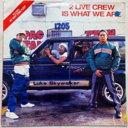 Мұқаба 2 Live Crew - Cuttin' It Up