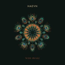 Мұқаба HAEVN & Lily Meola - Till the Morning