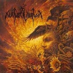 Мұқаба Nokturnal Mortum - Sorrow Of Native Lands