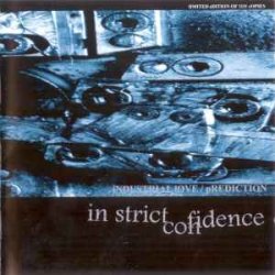Мұқаба Aghast View - Truthl Truthlike (Found Amplitude Mix By In Strict Confidence)