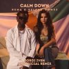 Cover Rema & Selena Gomez - Calm Down Rema & Selena Gomez - Calm Down