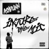 Мұқаба Ashdunn - Injure The Mic Ashdunn - Injure The Mic