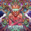 Мұқаба GMS & Stryker - Rikart GMS & Stryker - Rikart