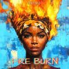 Мұқаба MD Dj - Fire Burn MD Dj - Fire Burn