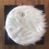 Мұқаба The KLF - Chill Out Is Not What This Is About The KLF - Chill Out Is Not What This Is About