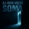 Мұқаба Dj Igor Volya - SOMA Dj Igor Volya - SOMA