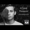Мұқаба Flume - Possum Flume - Possum