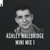 Мұқаба Ashley Wallbridge - Mumbai Traffic (Armin van Buuren's Edit) Ashley Wallbridge - Mumbai Traffic (Armin van Buuren's Edit)