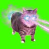 Мұқаба XertXetin - OIIA OIIA COSMIC Spinning CAT XertXetin - OIIA OIIA COSMIC Spinning CAT
