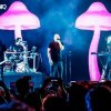 Мұқаба Infected Mushroom - Mixed by G Light live mix from Exotica Gold Infected Mushroom - Mixed by G Light live mix from Exotica Gold