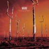 Мұқаба Muse - New Born (XX Anniversary RemiXX) Muse - New Born (XX Anniversary RemiXX)