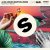 Cover Alok, Bruno Martini, Zeeba - Never Let Me Go (Extended Mix)