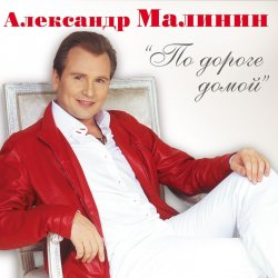 Мұқаба Александр Малинин - Поручик Голицын