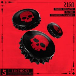 Мұқаба Timmy Trumpet & Zafrir & Henrique Camacho - Ziga