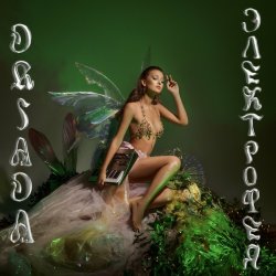 Мұқаба DRIADA - В камень превратила