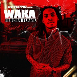 Мұқаба Waka Flocka Flame - Introduction Fight