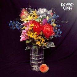 Мұқаба Rocco Vice - Füll sie ab