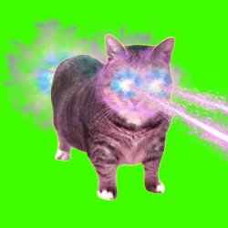 Мұқаба XertXetin - OIIA OIIA COSMIC Spinning CAT