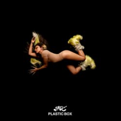 Мұқаба JADE - Plastic Box