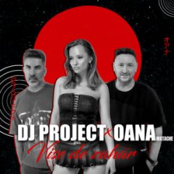 Мұқаба DJ Project & Oana Matache - Vise de Zahar