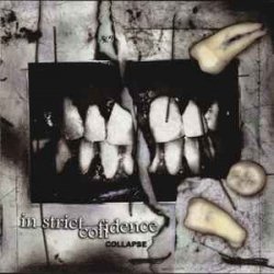 Мұқаба In Strict Confidence - Become An Angel (Broken Wings Mix)