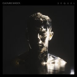 Мұқаба Culture Shock - Vega